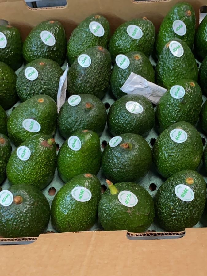 Aguacates etiquetados en caja