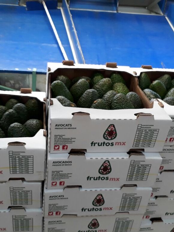 Cajas apiladas listas para embarque