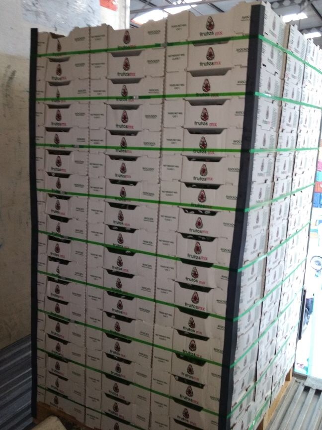 Tarima de aguacate FrutosMx® con fleje