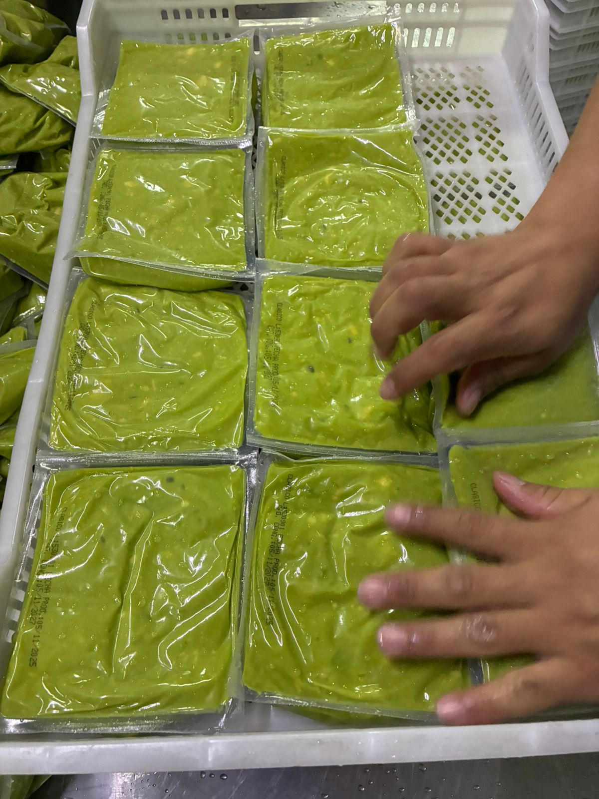 Empaque de producto congelado FrutosMx®